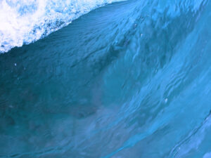 EXACT “Catch the Wave”